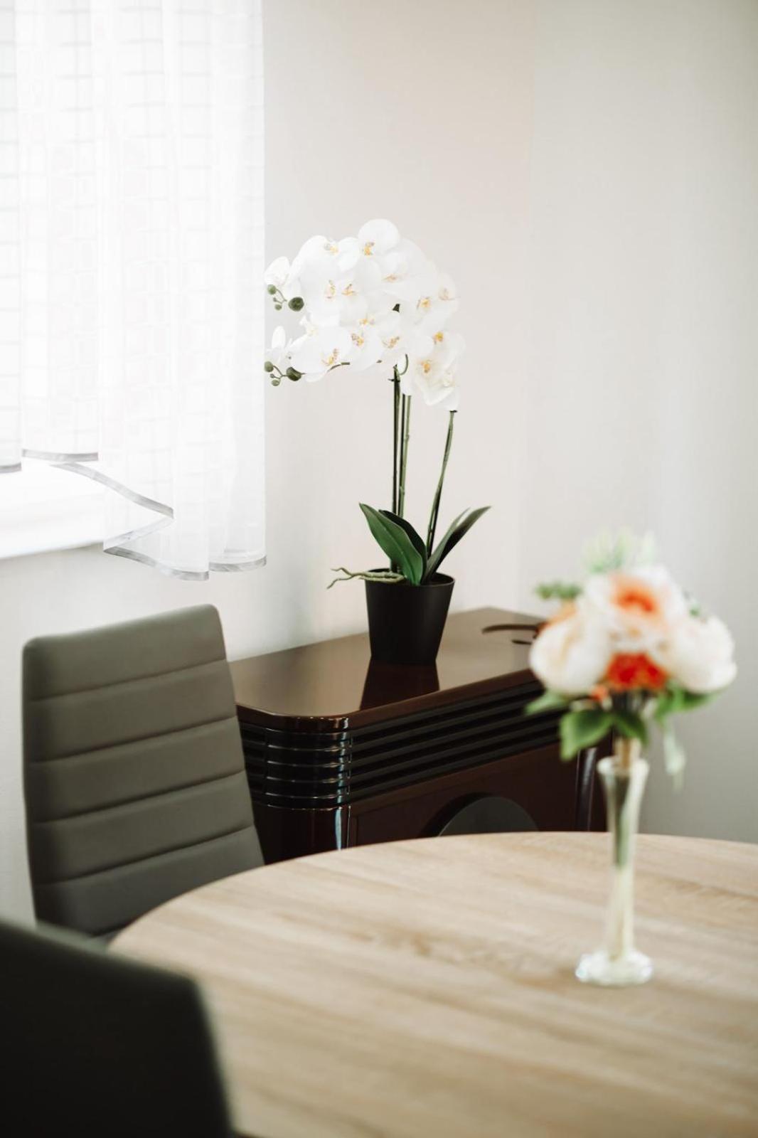 Apartman Sunny Hills クラピナ エクステリア 写真
